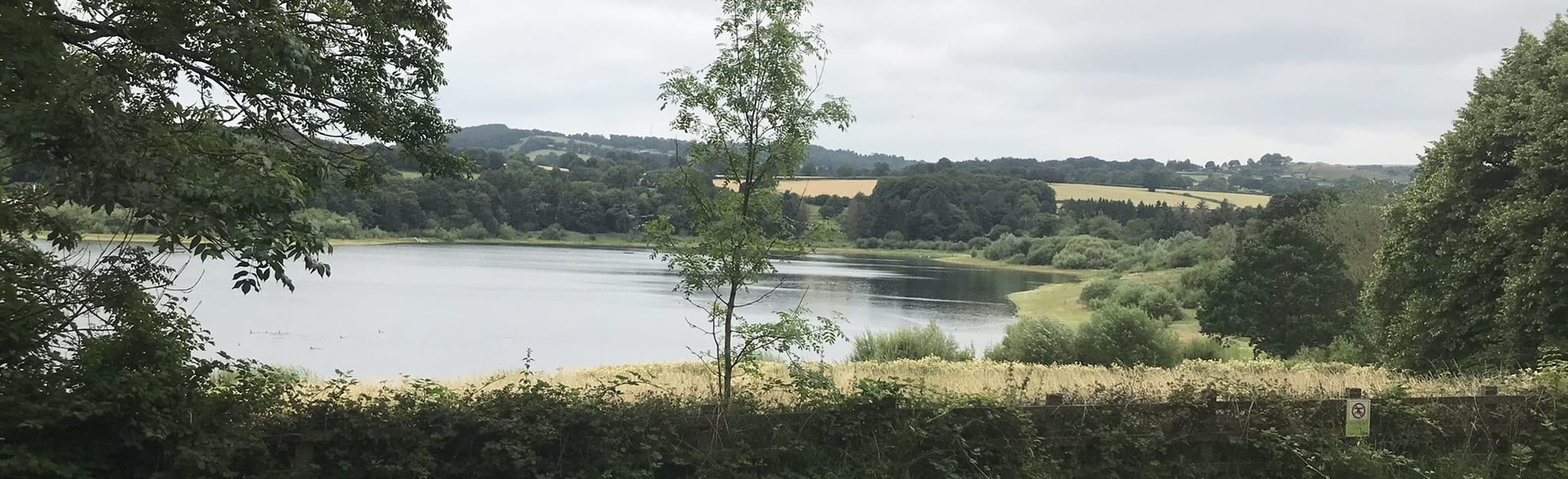 Ogston Reservoir, Derbyshire, England 55 Reviews, Map AllTrails