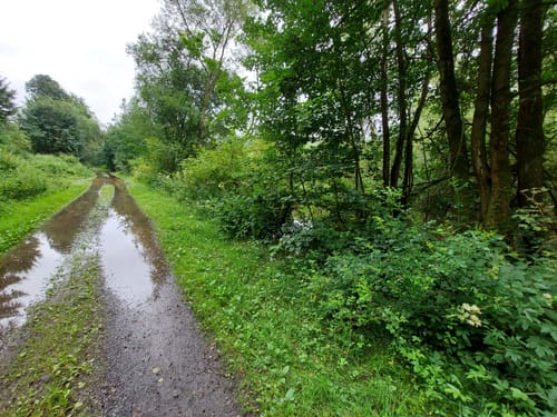 Bad Arolsen - Mengeringhausen - Twistesee