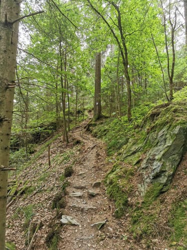 Goldener-Falk-Weg KU12