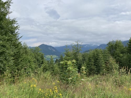 Huberspitz