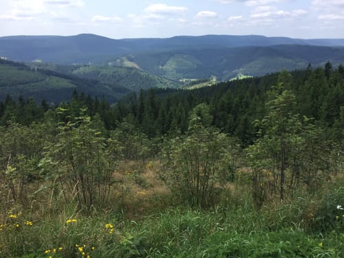 Ilmenau via Kickelhahn
