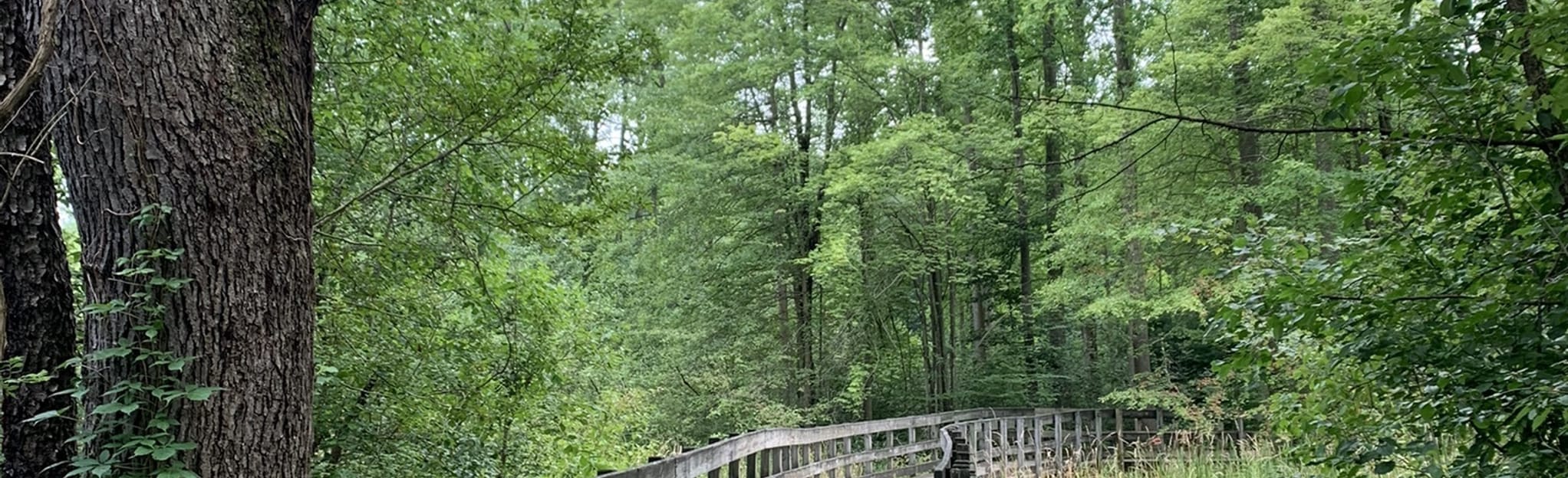 Interurban Trail, Ohio 141 Reviews, Map AllTrails