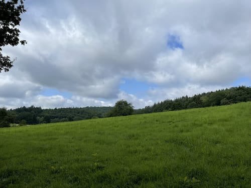 Waldwege bei Bechhofen
