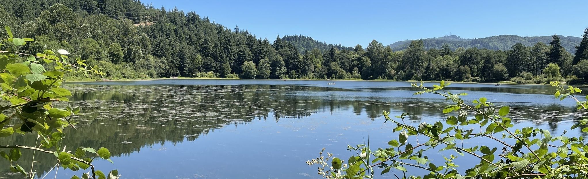 Kress Lake, Washington 59 Reviews, Map AllTrails