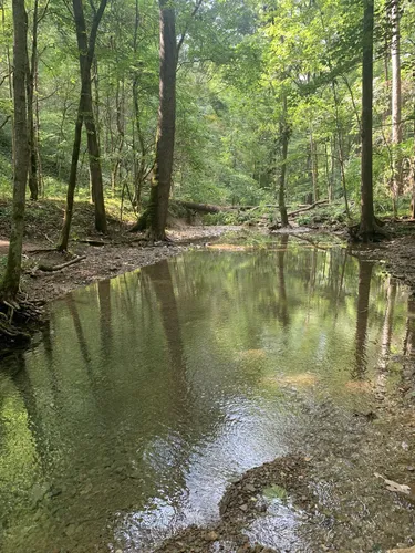 Charles c outlet deam wilderness camping