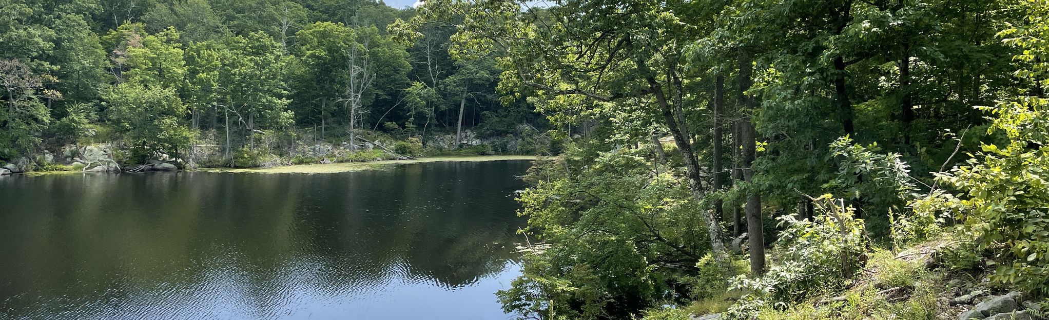 norvin green state forest trail map