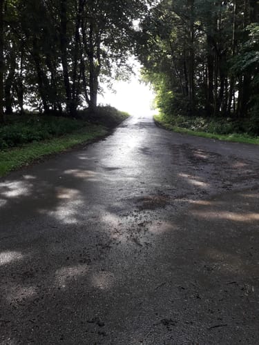 Naturpark Südeifel Wanderweg Nr. 39 - Geichlingen