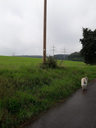 Naturpark Südeifel Wanderweg Nr. 39 - Geichlingen