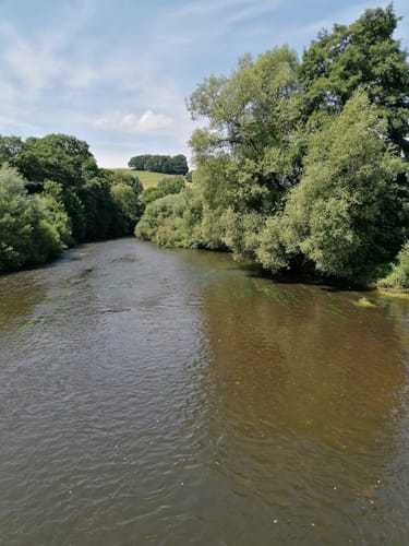 Großer Ermannsdorfer Rundwanderweg