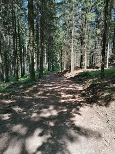 Nach Augustusburg
