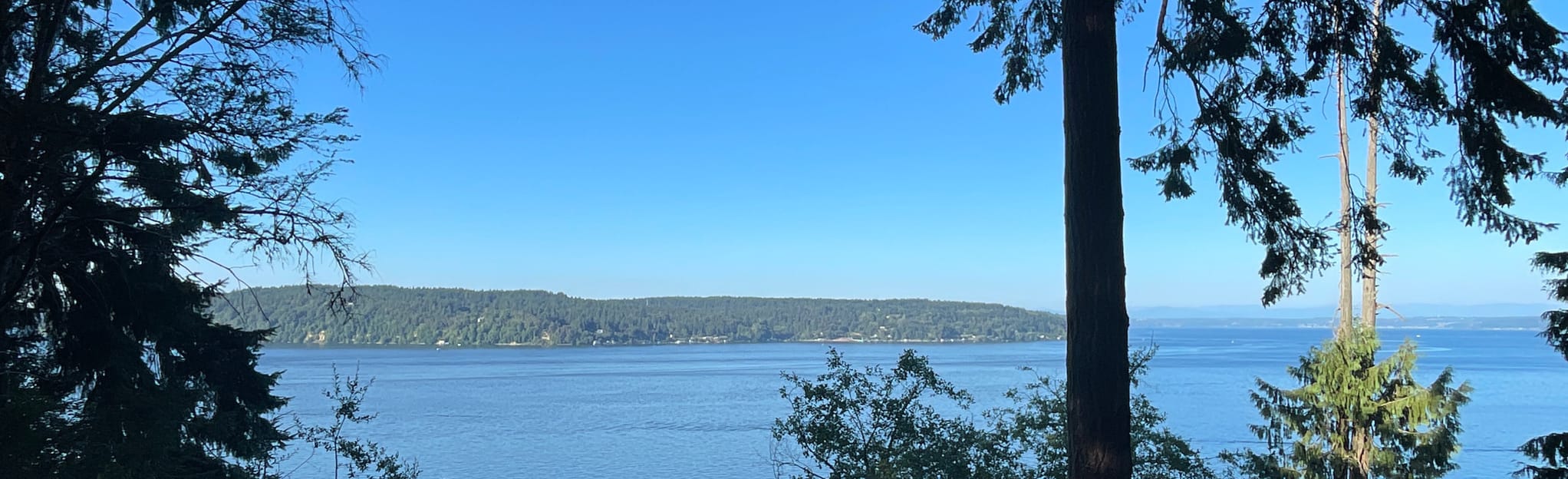 Vashon, Mountaineer Tree and Dalco Passage Viewpoint 50 Reviews, Map