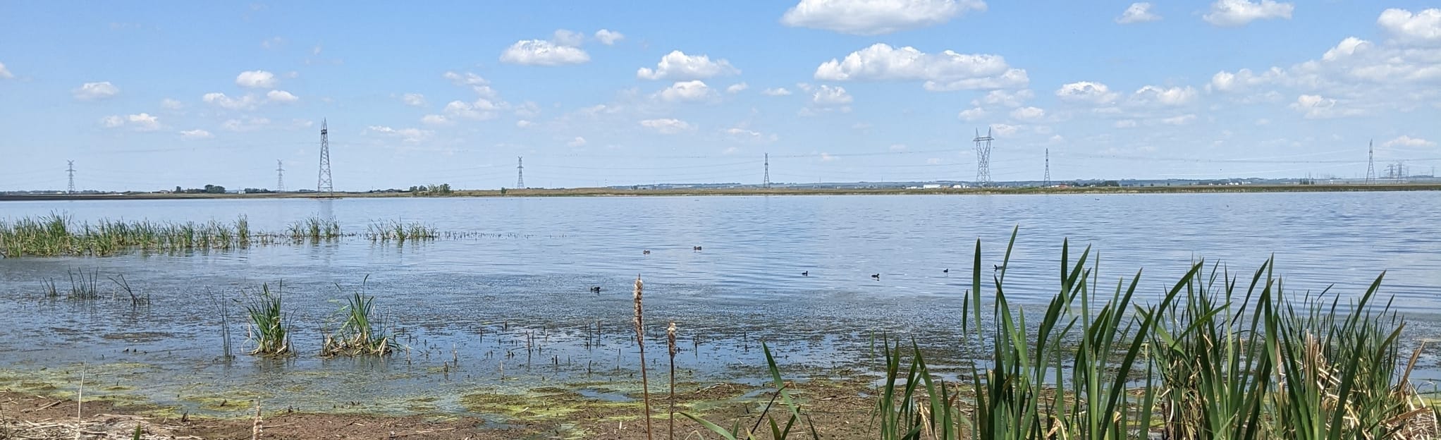 Frank Lake Conservation Area, Alberta, Canada 32 Reviews, Map AllTrails