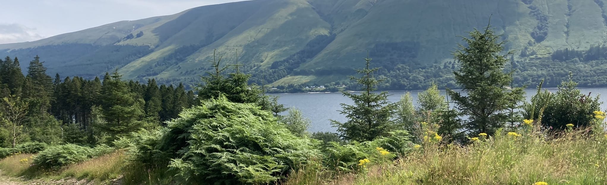 Clunes and Loch Lochy, Highlands, Scotland 7 Reviews, Map AllTrails