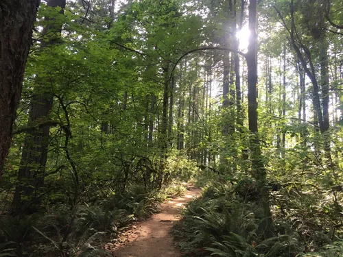 Best Hikes and Trails in Mount Talbert Nature Park | AllTrails