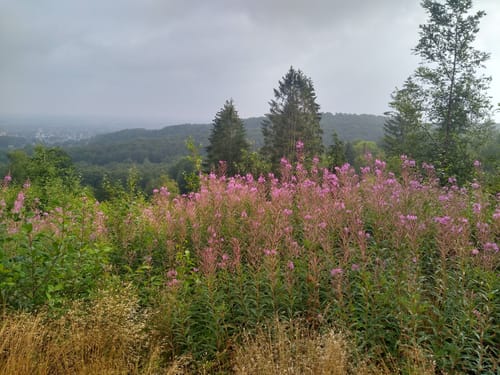 Herrmannsweg Etappe 6: Bielefeld - Oerlinghausen