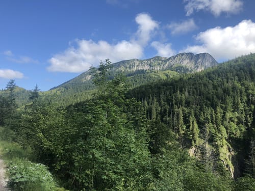 Hintere Scharnitz-Alm ab Bichleralm