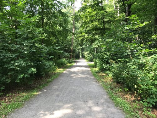 Forstwald Rundweg A1