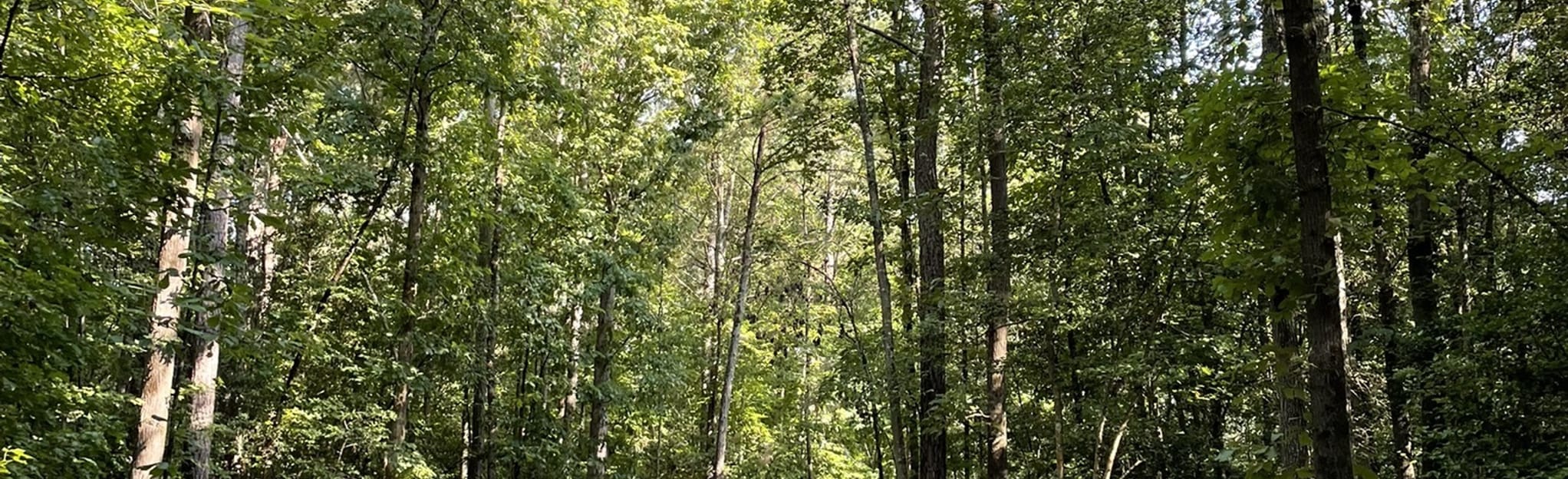 Turnipseed Nature Preserve Loop Map, Guide North Carolina AllTrails