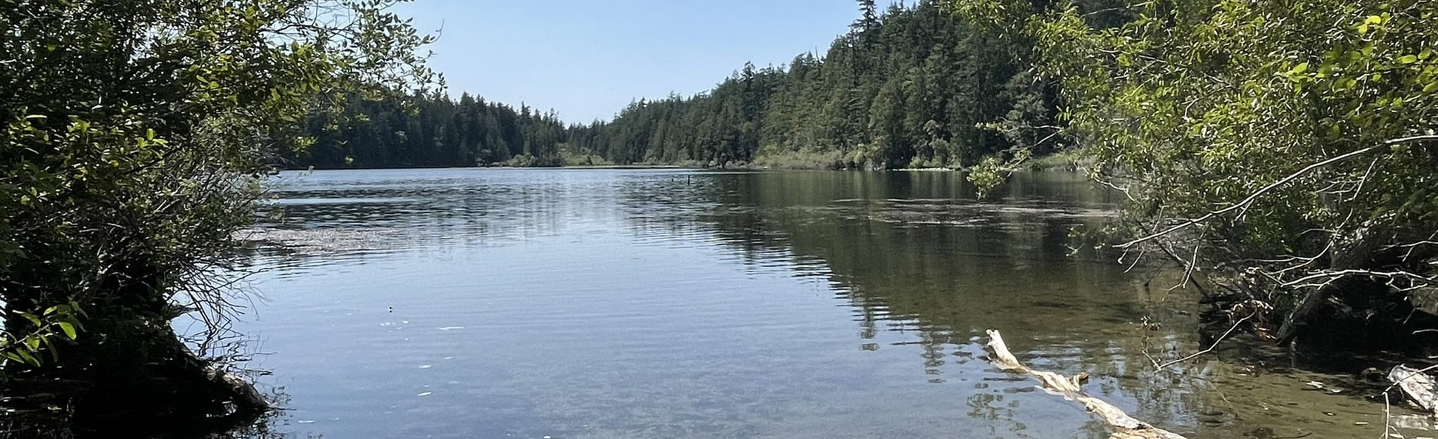 Beaver Ponds, Mitten Lake, Heart Lake, and Whistle Lake 20 Reviews(00)