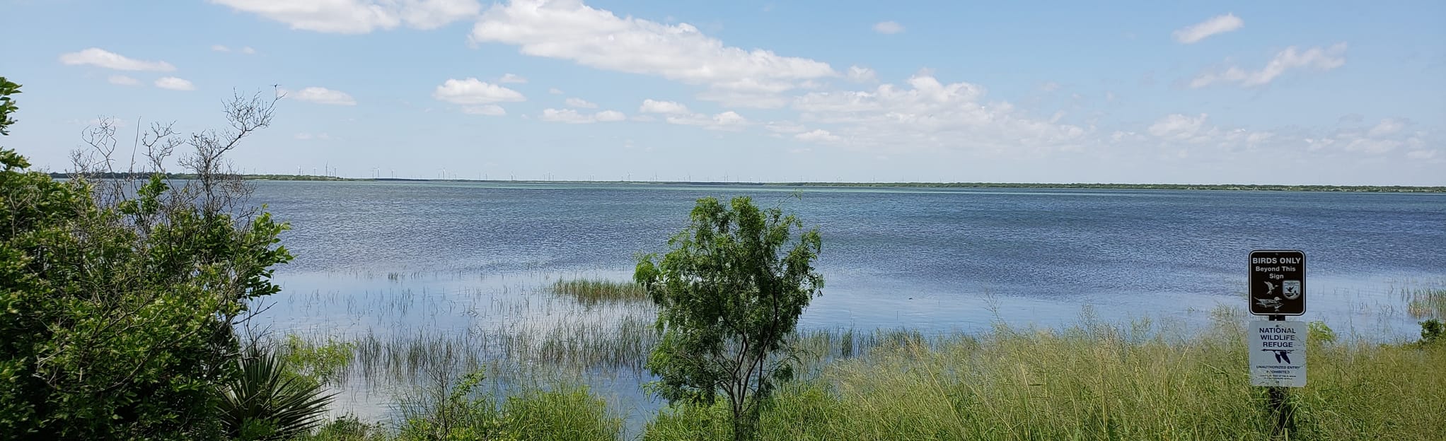 Laguna and Cayo Atascosa Loop Trail, Texas 35 Reviews, Map AllTrails