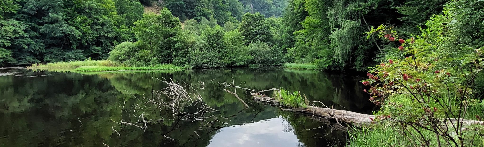 Hjortsprångsrundan: 633 Fotos - Escânia, Suécia | AllTrails