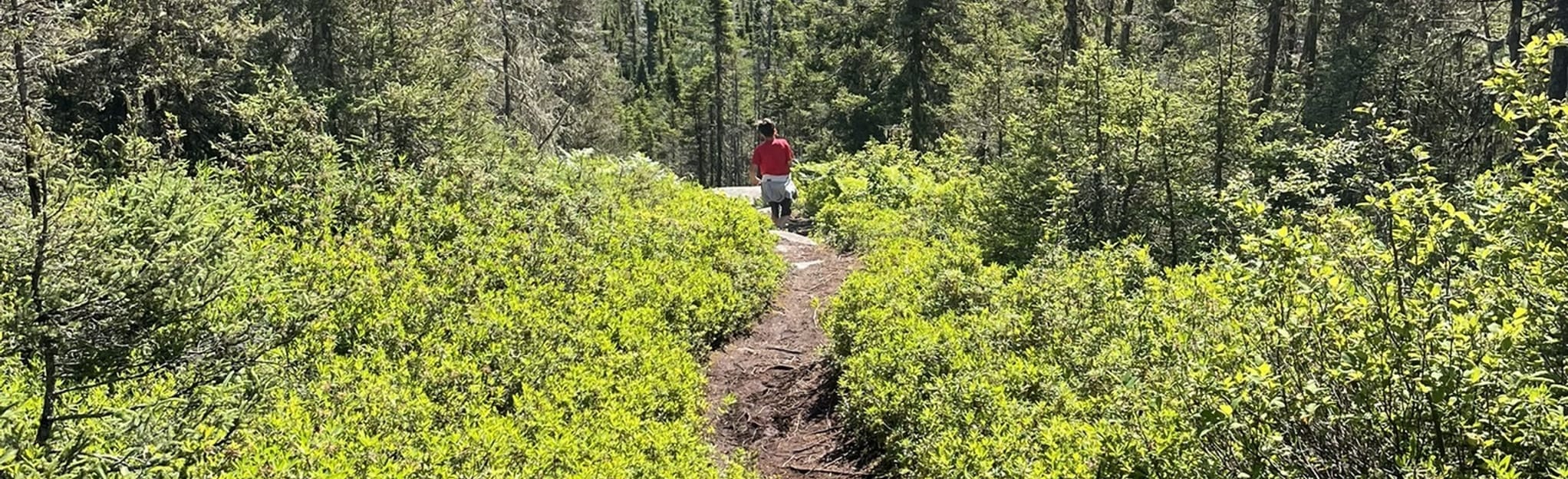 Sentier de la Croix Franquelin, Quebec, Canada 20 Reviews, Map AllTrails
