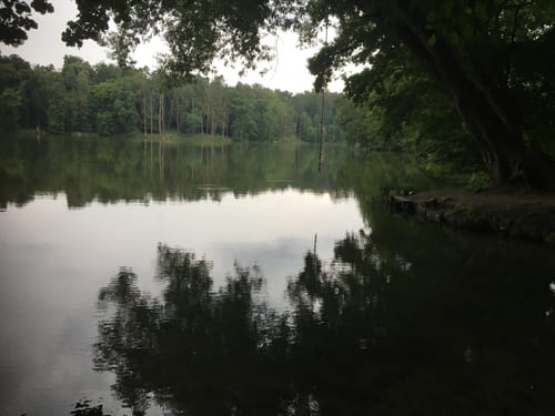 Bahnhof Buckow - Schermützelsee