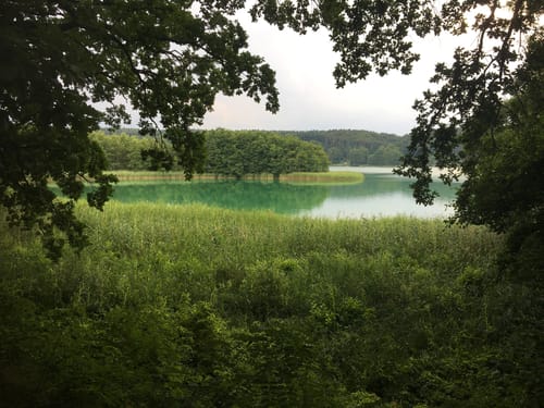 Bahnhof Buckow - Schermützelsee