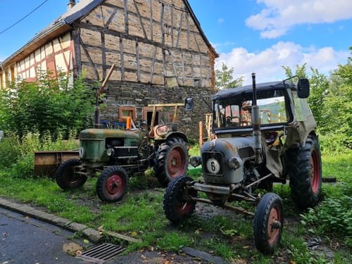 Leiermannspfad (Moselsteig Seitensprung)