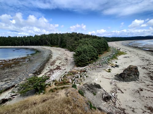 Sand point trail olympic national park sale