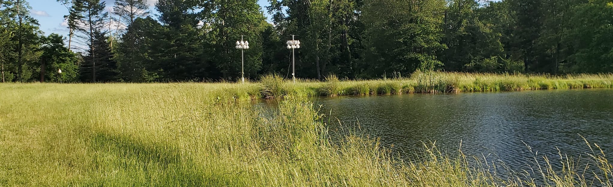 Deer Pond Farm Bobcat Loop, Connecticut 98 Reviews, Map AllTrails