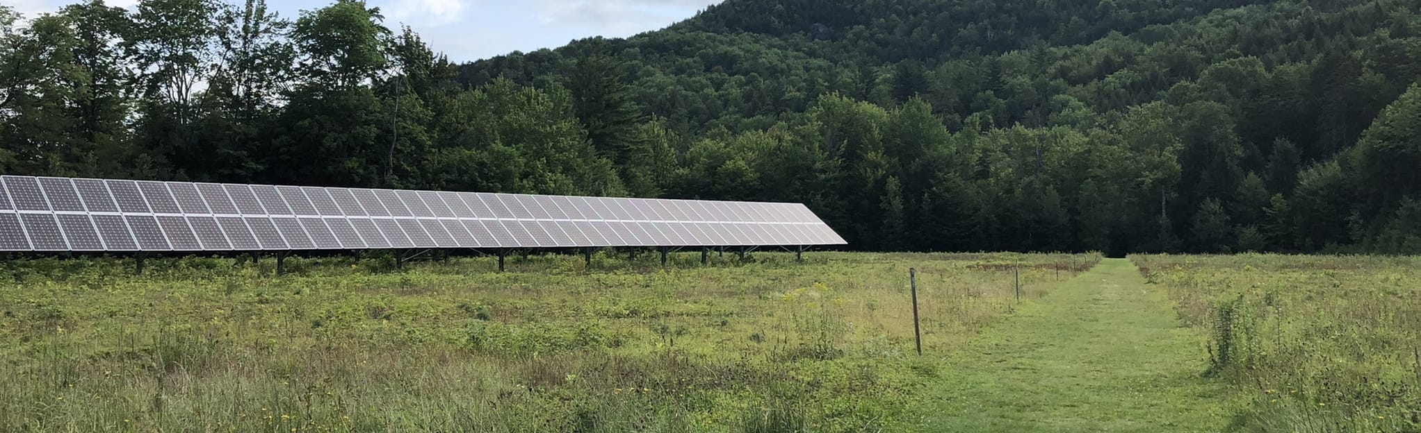 Warren Interpretive Trail 9 Reviews, Map Vermont AllTrails