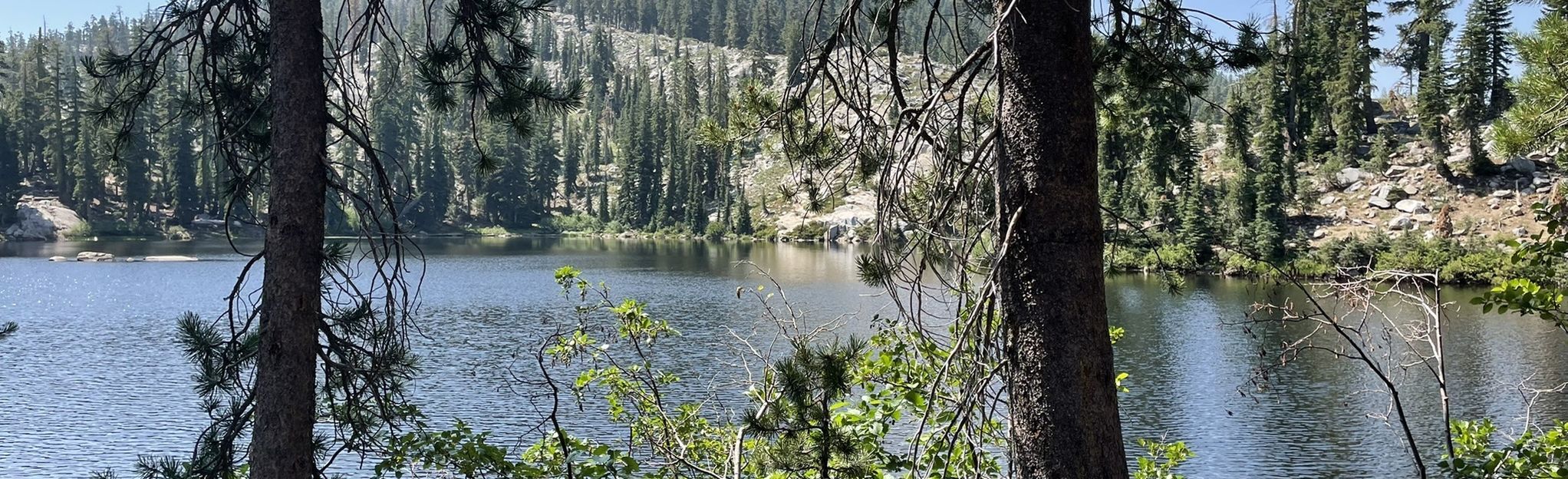 Whisky Creek Camp Trail: 172 Reviews, Map - California | AllTrails