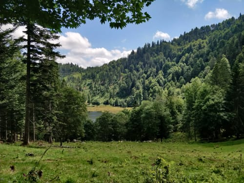 Nonnenmattweiher ab Kreuzweg