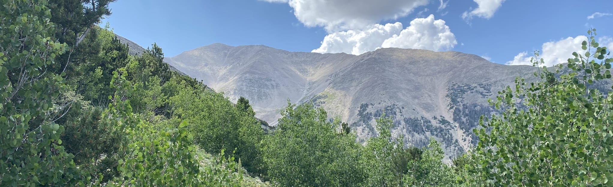 Mount Princeton Trail 1.341 Fotos Colorado AllTrails