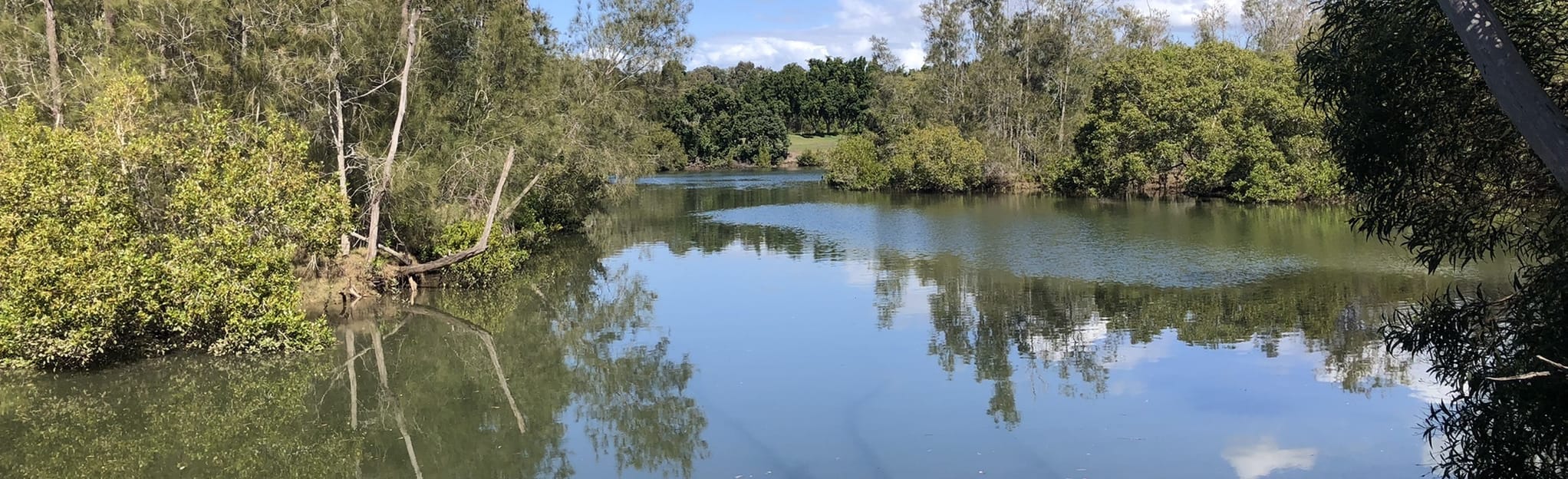 Mountain Creek Loop, Queensland, Australia 78 Reviews, Map AllTrails