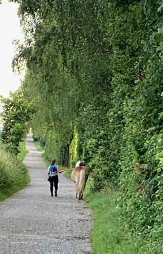 Um den Wildpark Poing