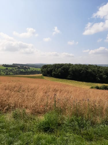 Mittelalterpfad (Traumpfad)