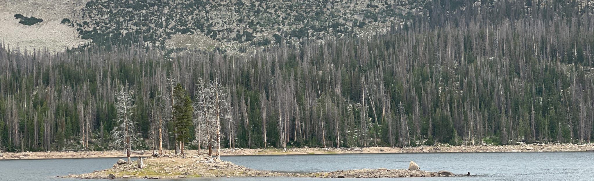 Shadow Lake via Crystal Lake Trailhead 67 Reviews, Map Utah AllTrails