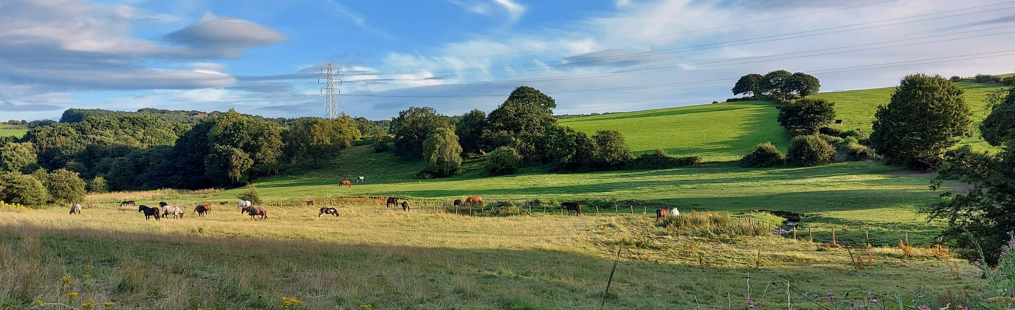 Bankhouse and Fulneck, West Yorkshire, England 78 Reviews, Map