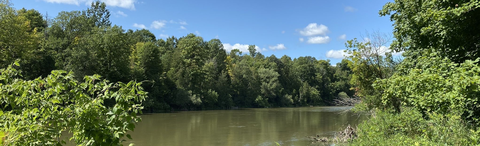 Komoka White Trail, Ontario, Canada 603 Reviews, Map AllTrails