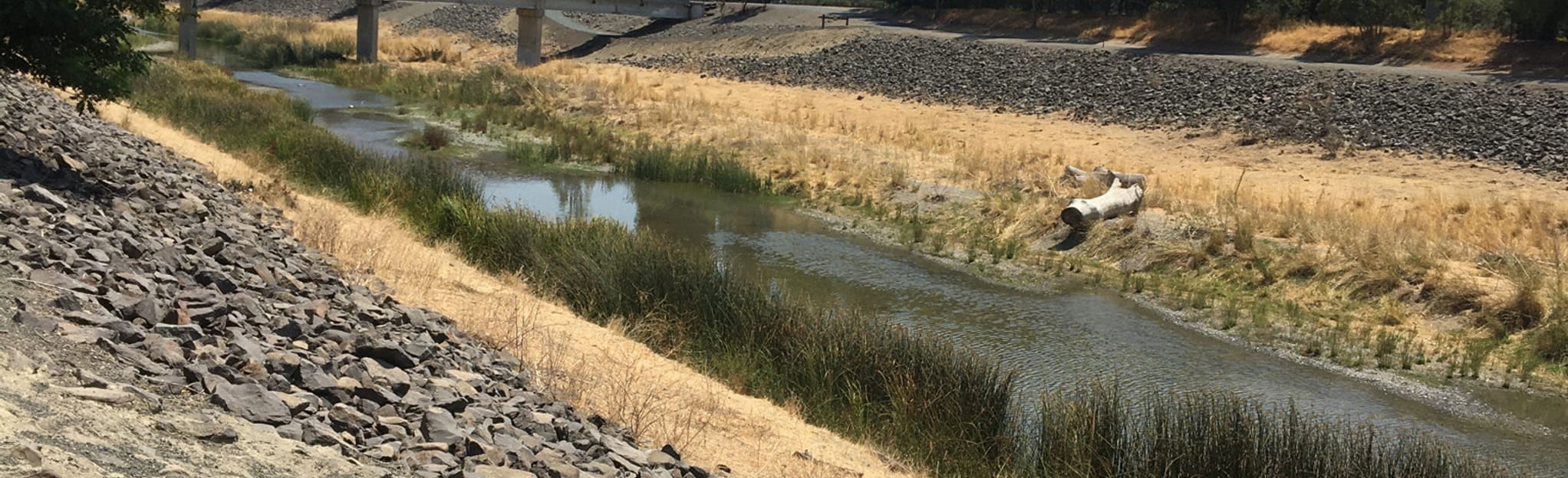 Alameda Creek Trail Isherwood Staging Area, California 126 Reviews