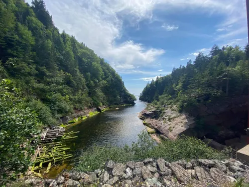 The wondrous views from Fundy National Park in Alma New Brunswick