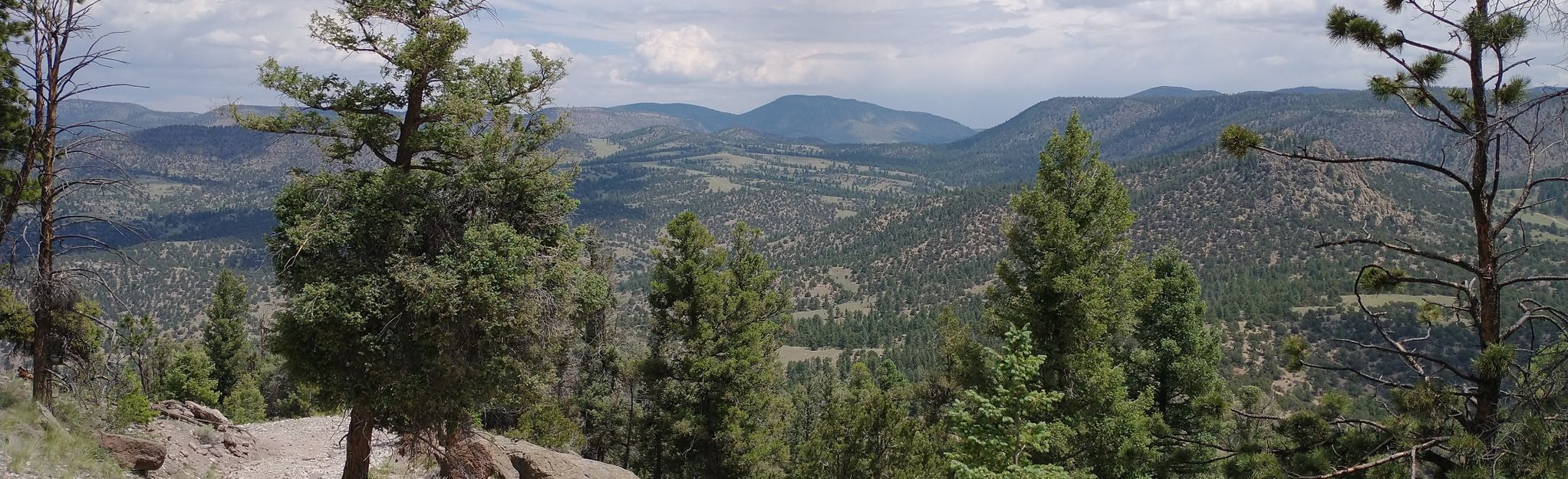 San Isabel Bald Mountain Trail: 13 Reviews, Map - Colorado | AllTrails