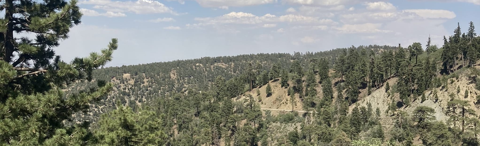 Lightning Ridge Nature Trail 41 Reviews, Map California AllTrails