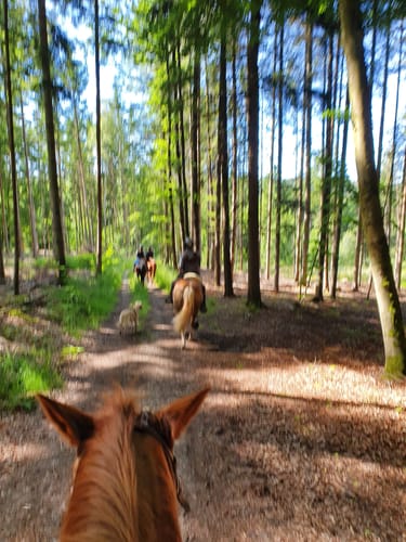Rundweg Eichhörnchen Burgbernheim
