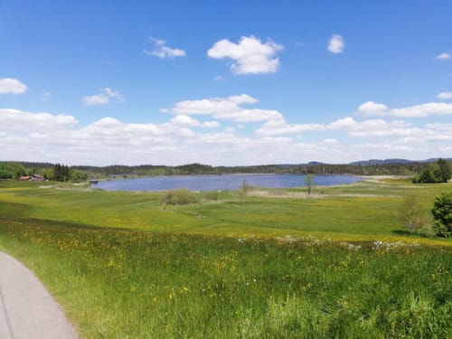 Moorwanderweg - Großer Ursee - Kleiner Ursee