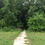 Jamaica North Trail, Nebraska - 209 Reviews, Map | AllTrails