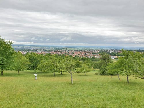 Dreifürstensteig (Premiumwanderweg)
