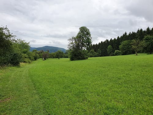 Dreifürstensteig (Premiumwanderweg)